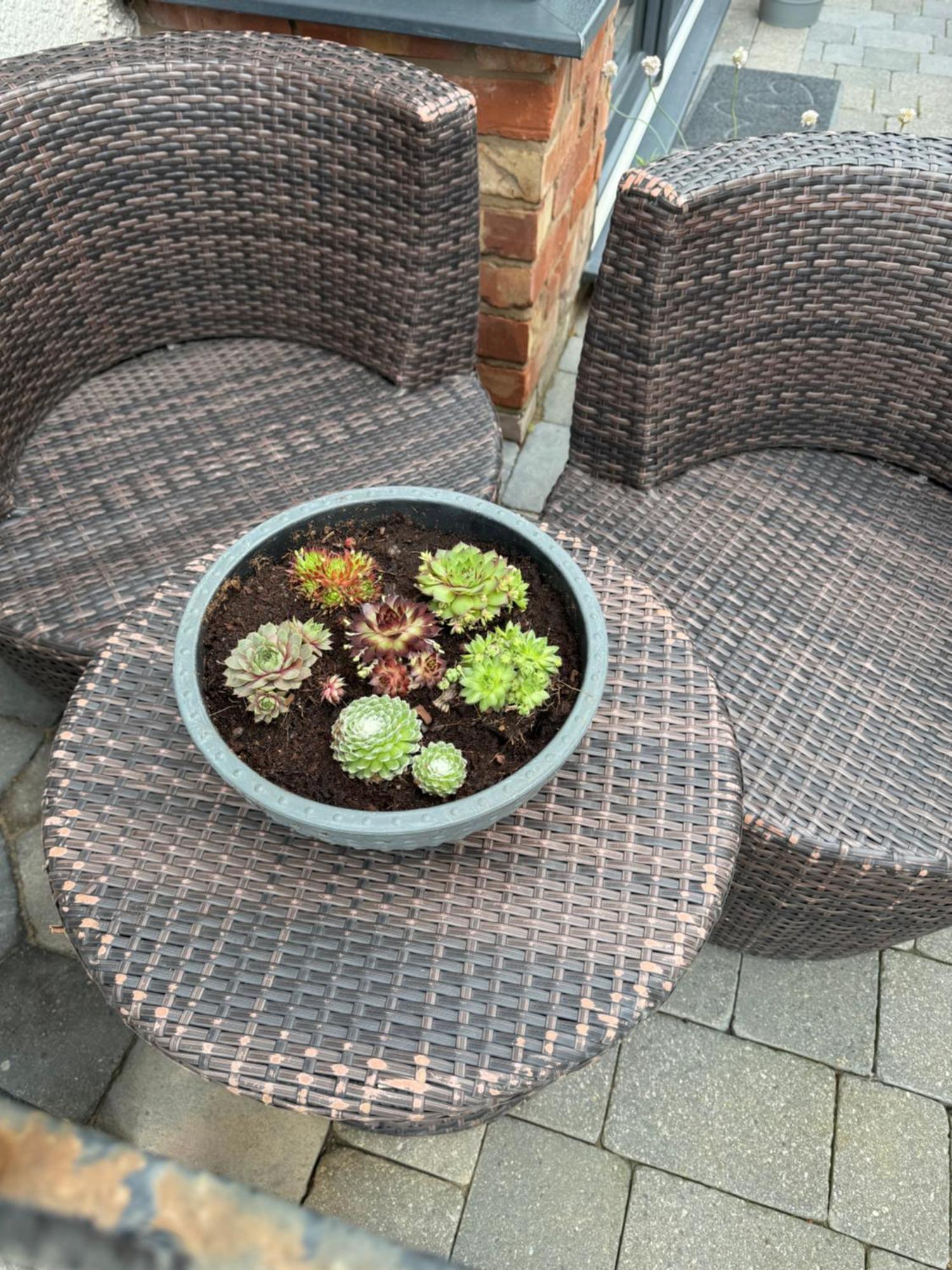Beach House Apartment On Ground Floor With Sea View - Pet Friendly Cleveleys Esterno foto